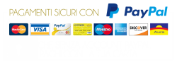 paypal-logo-payment